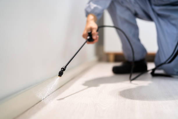 Licensed Ant Control service in Arcadia, LA - Show Me Pest Control